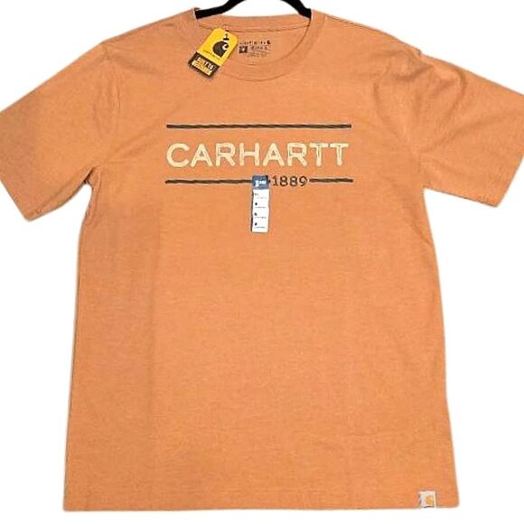 Carhartt Blue and Brown Short Sleeve Tee - Picture 1 of 4